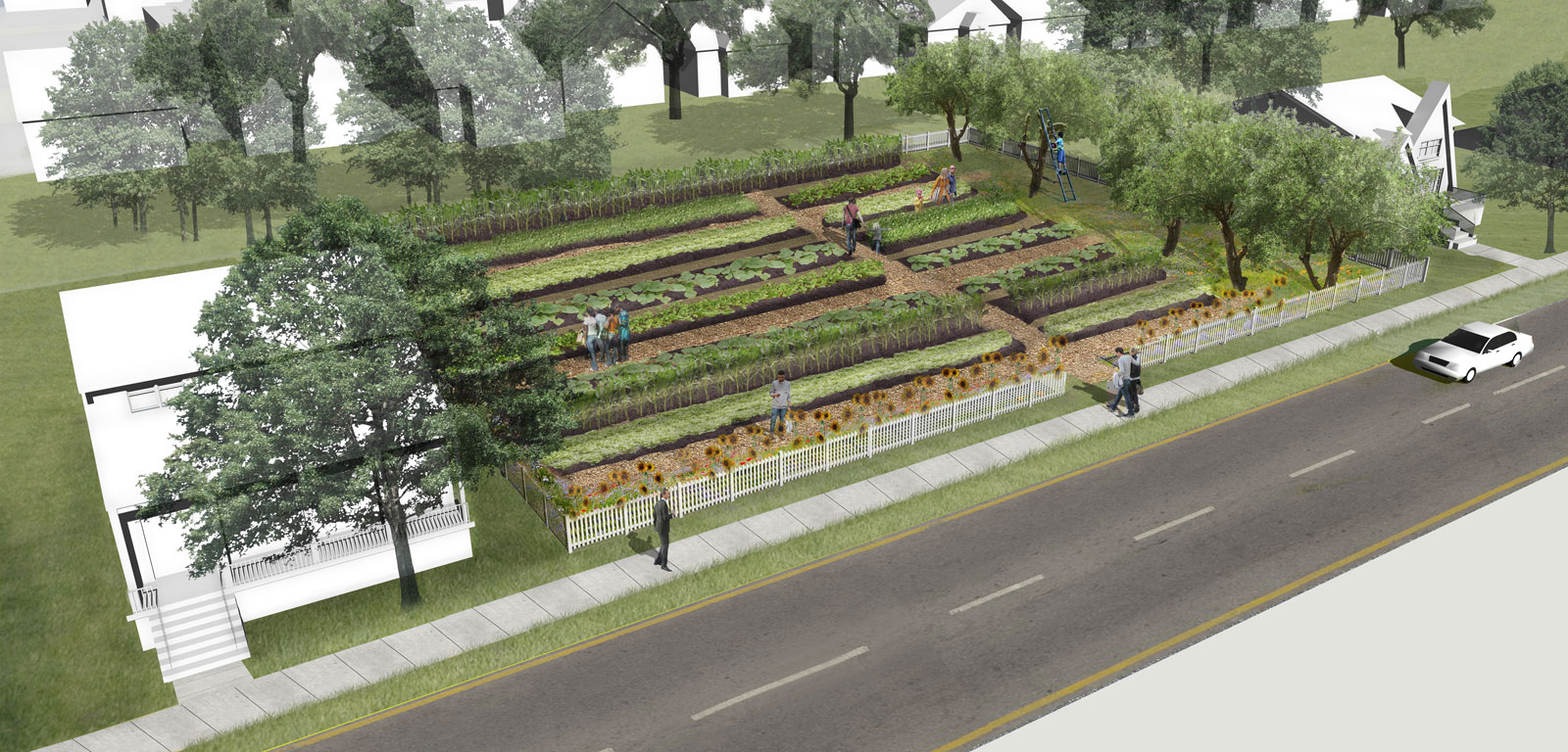 Homestead properties for urban gardeners rendering Digital rendering